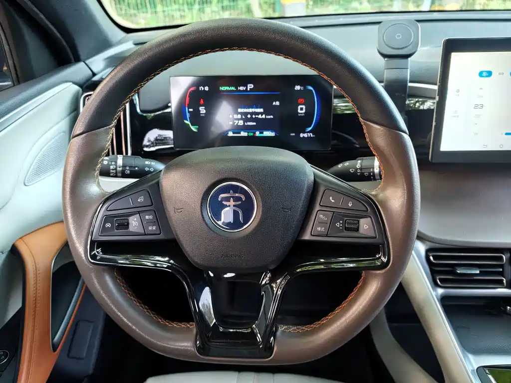 BYD Pro New Energy — миниатюра 11