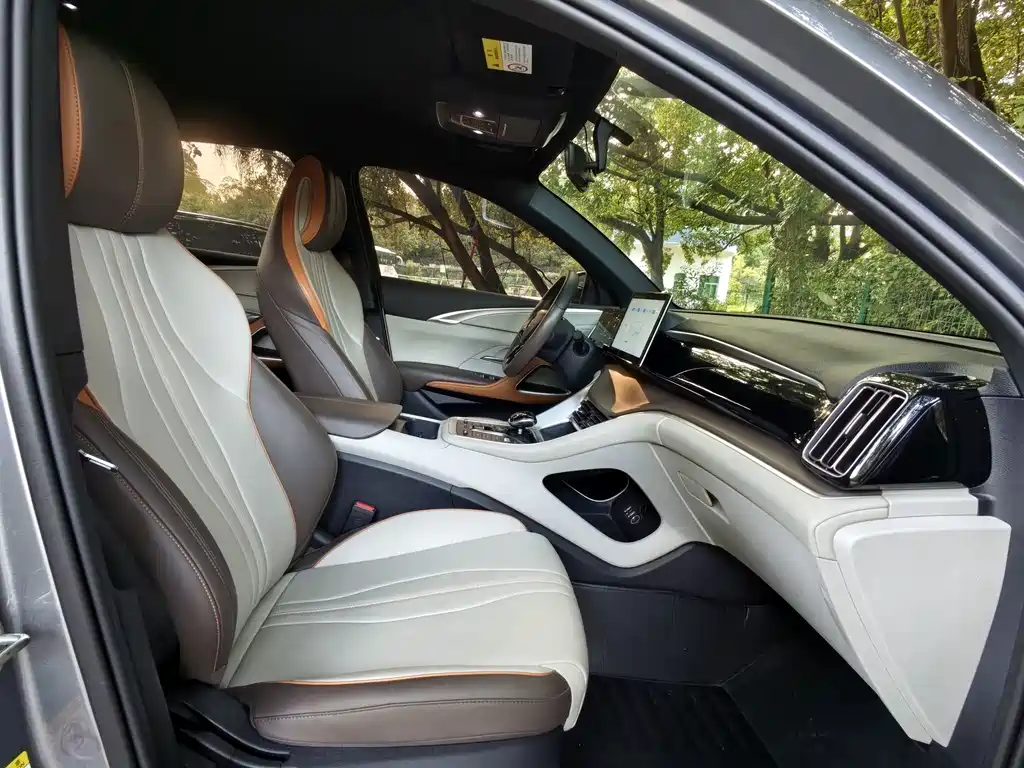 BYD Pro New Energy — миниатюра 15