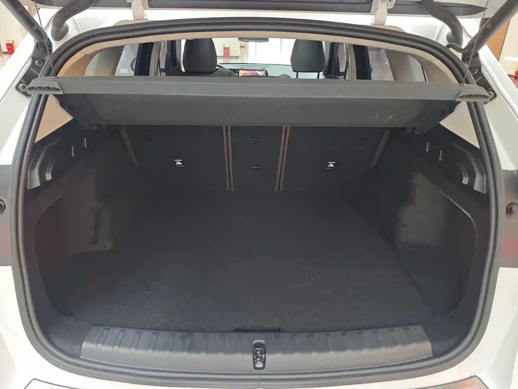 BMW X1 2024 sDrive25Li X