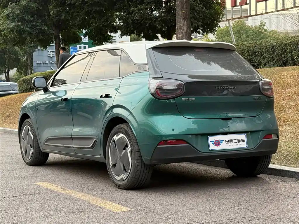 DONGFENG NANO 01
