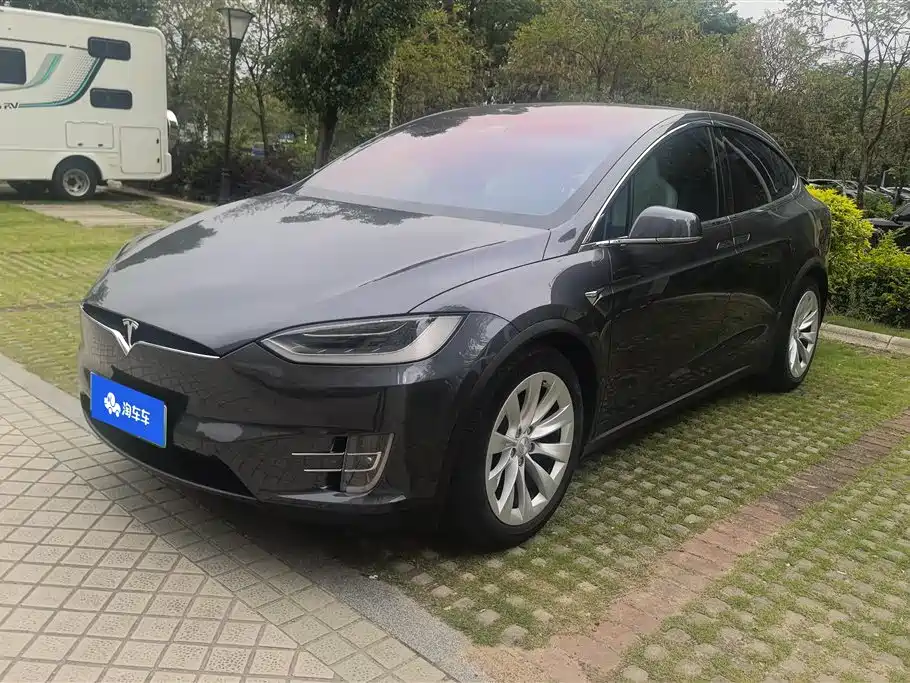 Tesla Model X 2019