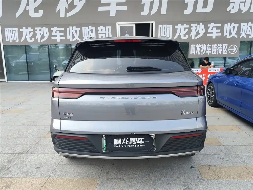 BYD SONGJIANG NEW ENERGY