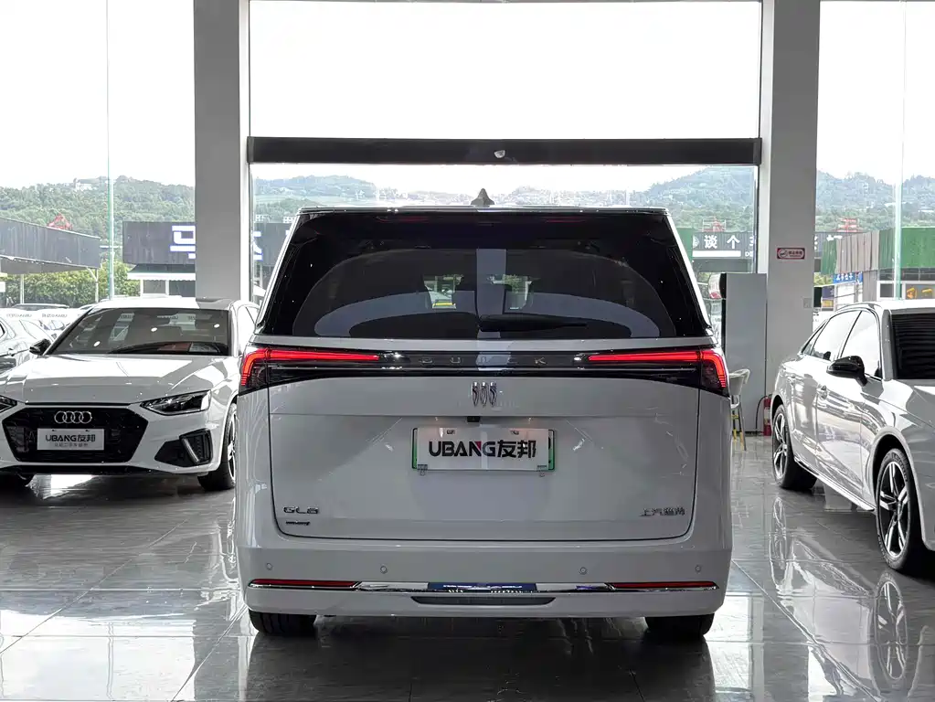 BUICK GL8 NEW ENERGY