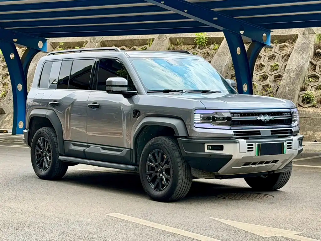 FANG CHENG BAO LEOPARD 5