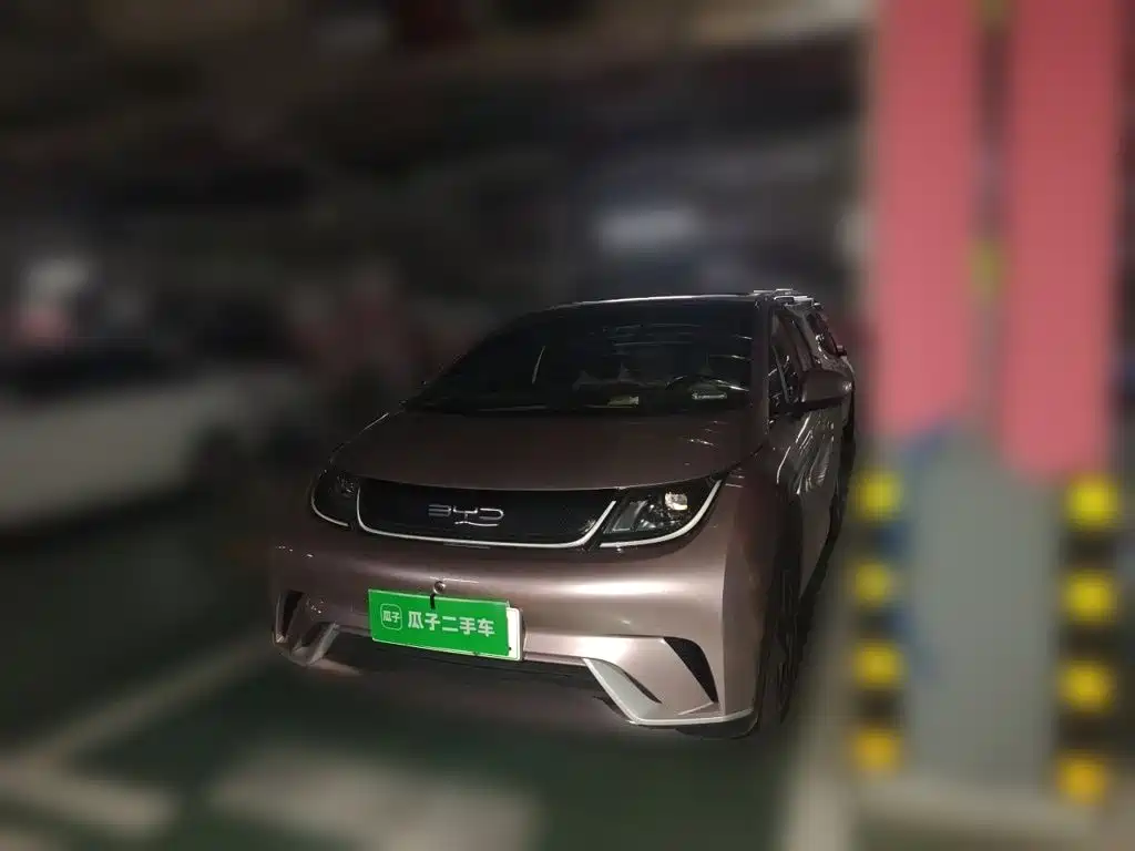 BYD Dolphin