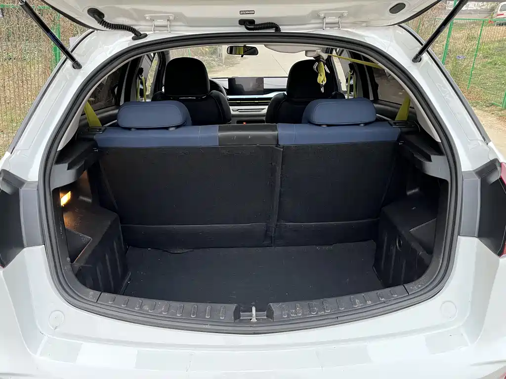 GEELY GEOMETRY EX3 KUNG FU COW