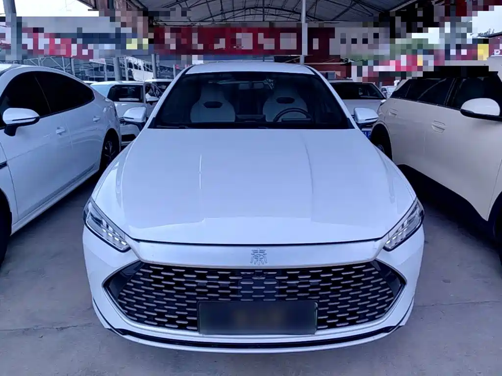 BYD Qin Plus PLUS 2023 Champion DM-i 55KM Lead