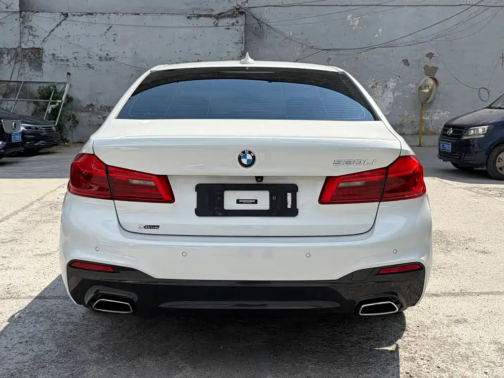 BMW 5 Series 5 2020 530Li xDrive M Sport