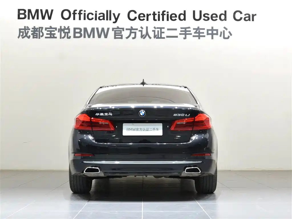 BMW 5 Series 5 2019 525Li Luxury