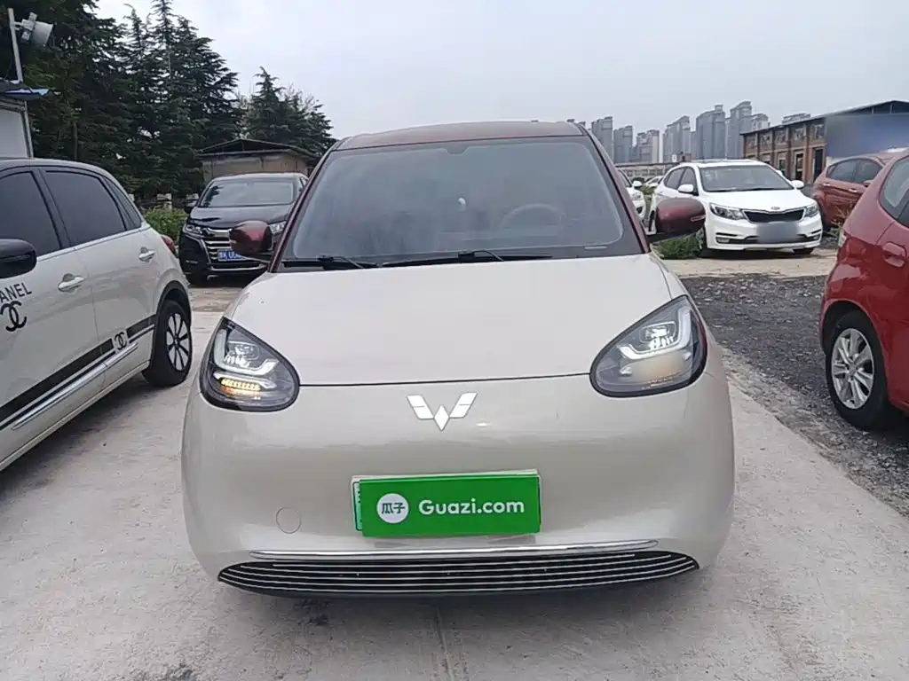 Wuling Binguo 2024 333km Enjoy