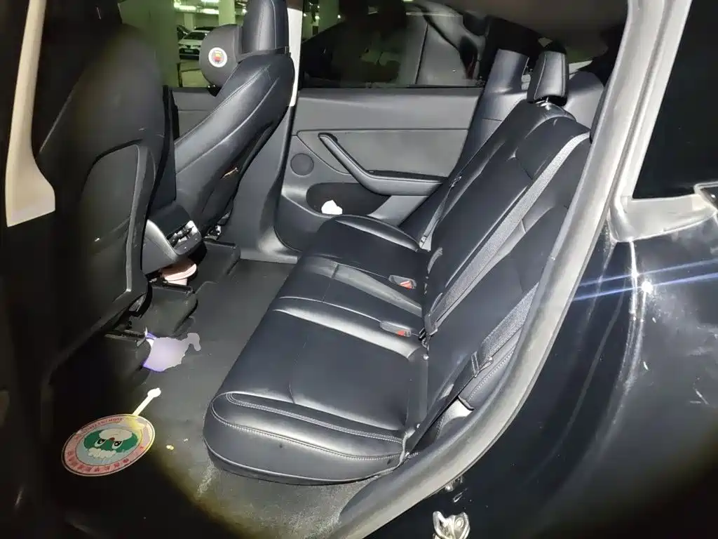 Tesla Model Y — миниатюра 18
