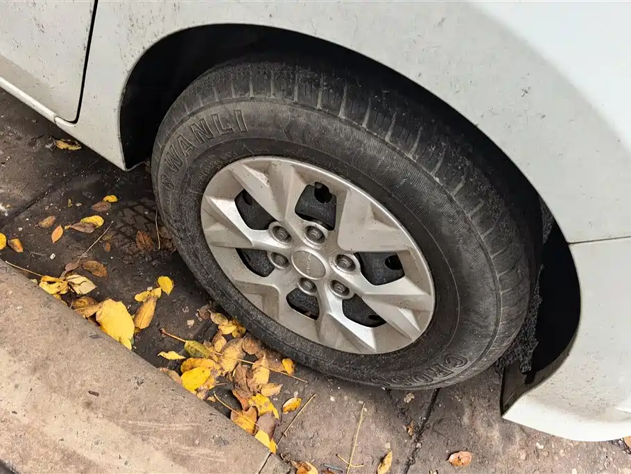 SAIC MAXUS CHASE G10