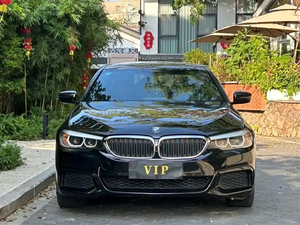 BMW 5 Series 5 2019 530Li Lead M Sport