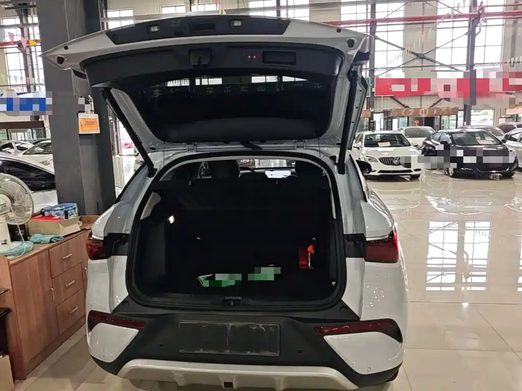 BYD Yuan Plus — миниатюра 19