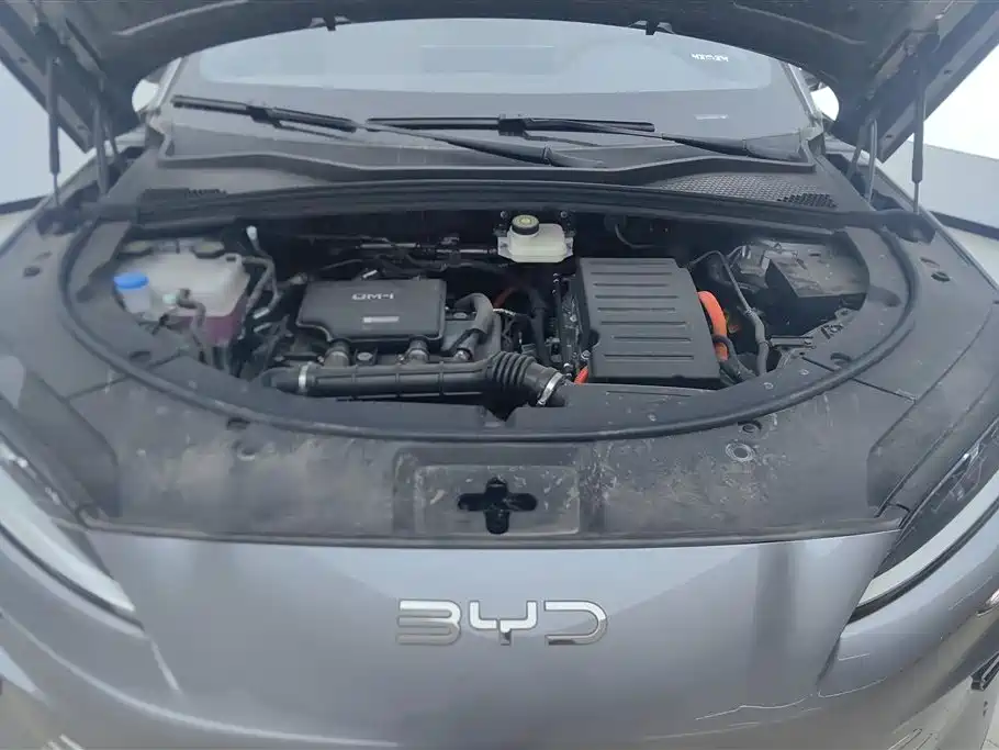 BYD SONGJIANG NEW ENERGY