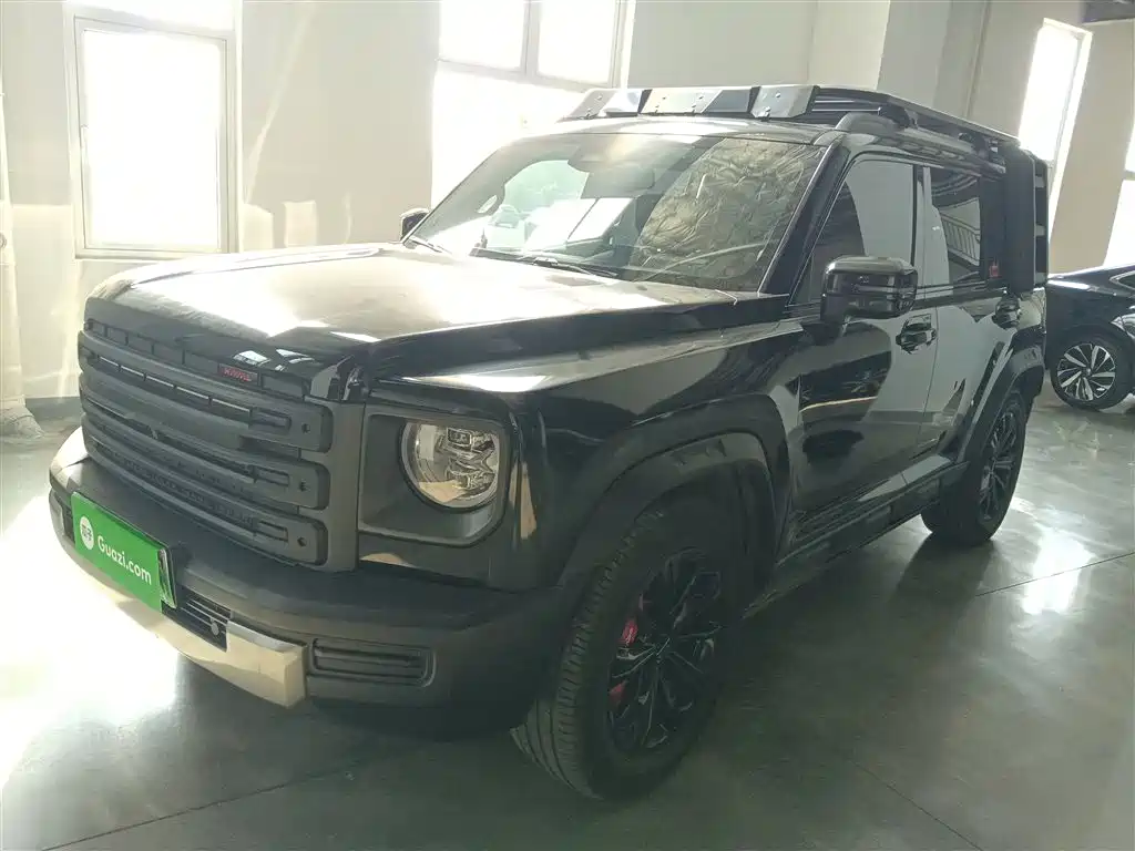 Haval Menglong New Energy 2024