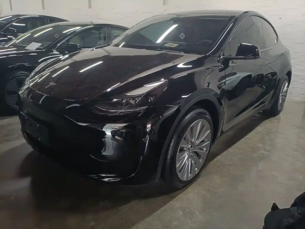 Tesla Model Y — миниатюра 2