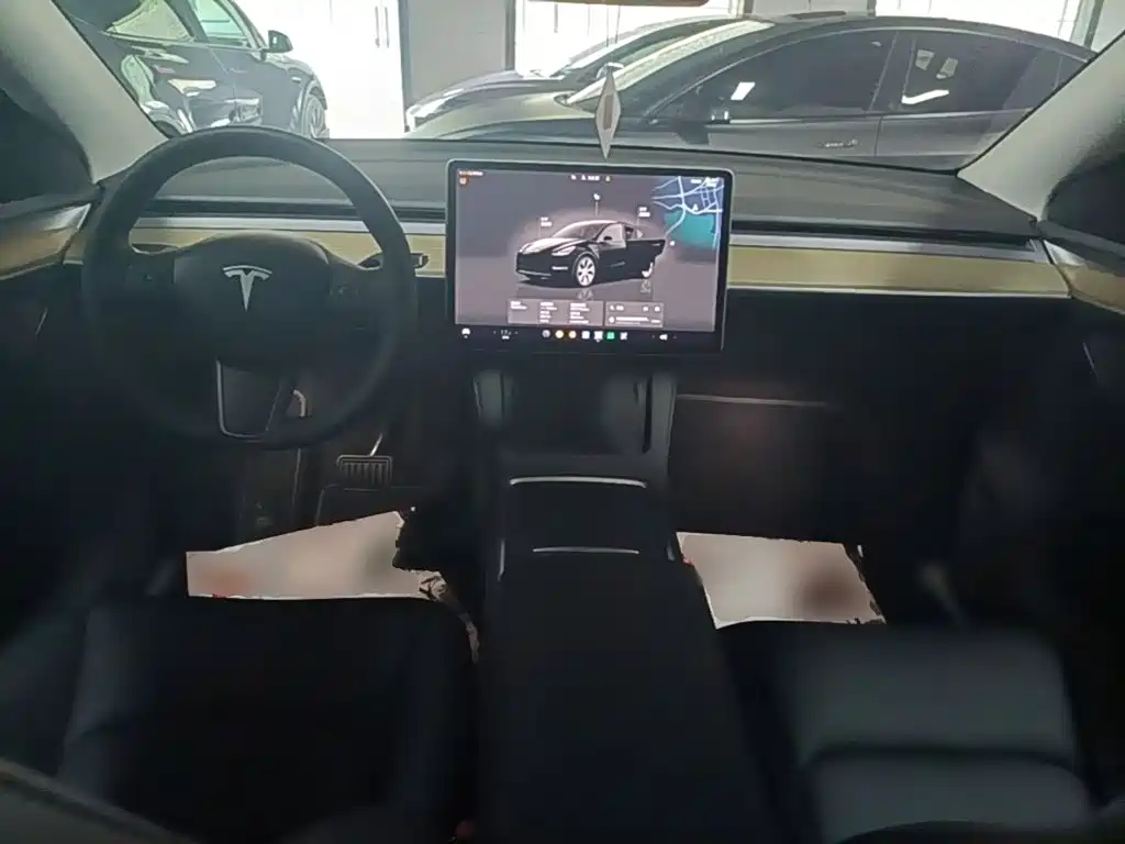 Tesla Model Y — миниатюра 10