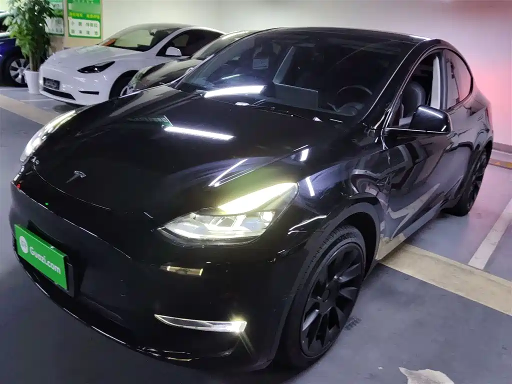 Tesla Model Y 2021