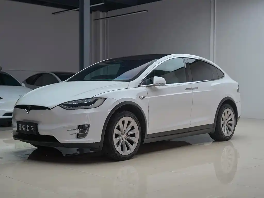 Tesla Model X — миниатюра 2
