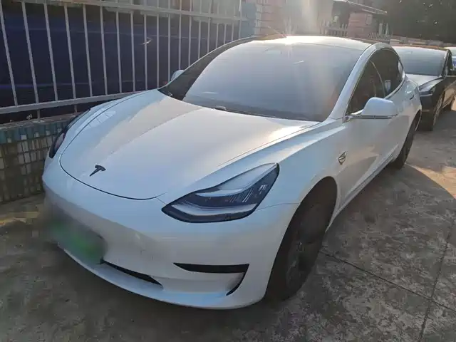 TESLA MODEL 3 2019