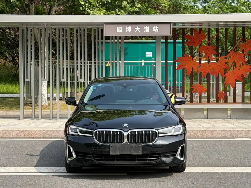 BMW 5 Series — миниатюра 2