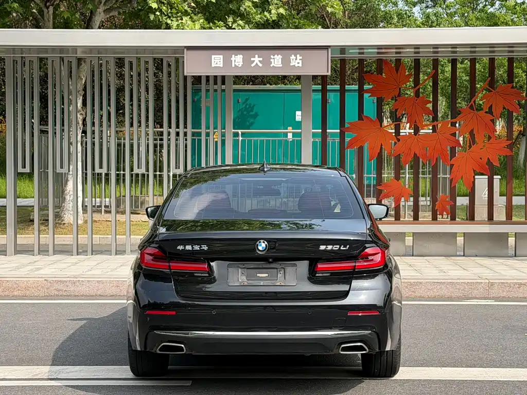 BMW 5 Series — миниатюра 8