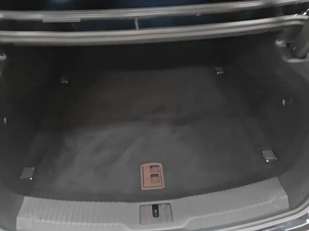 Hongqi Hongqi H9 — миниатюра 19