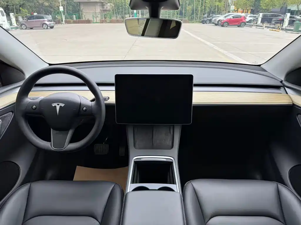 Tesla Model Y — миниатюра 9