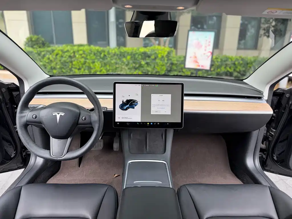 Tesla Model 3 — миниатюра 7