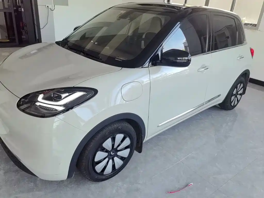 Wuling Bingo