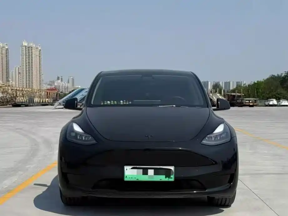 Tesla Model Y — миниатюра 2