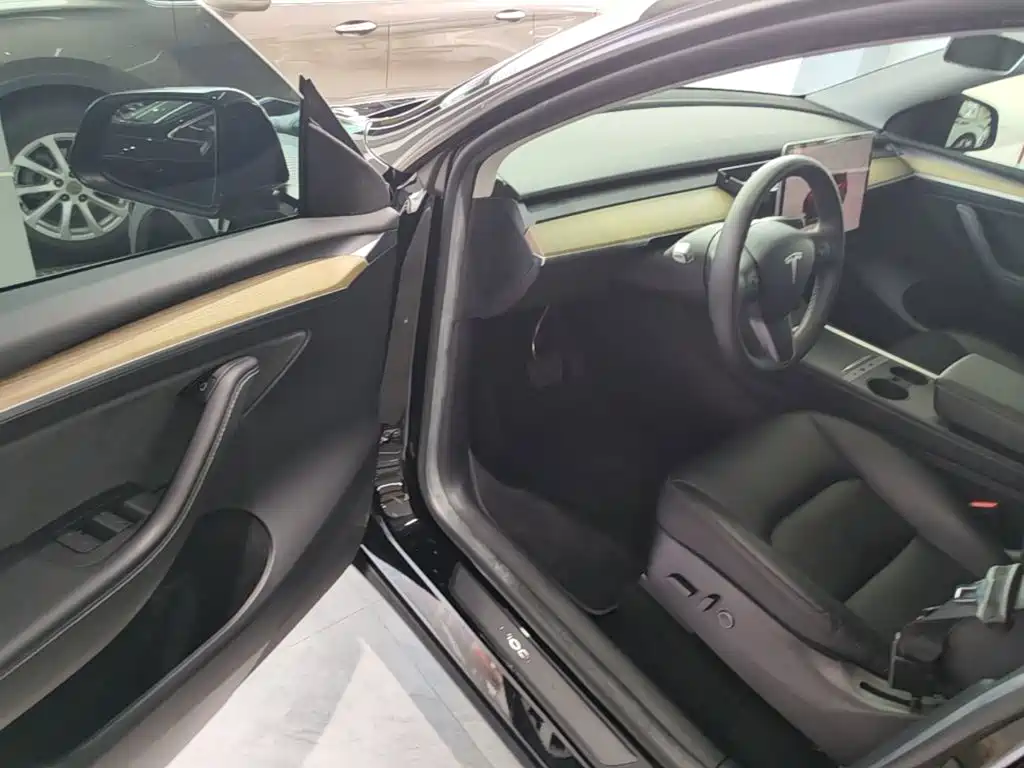 Tesla Model Y — миниатюра 16