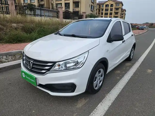 BAOJUN  310 2017