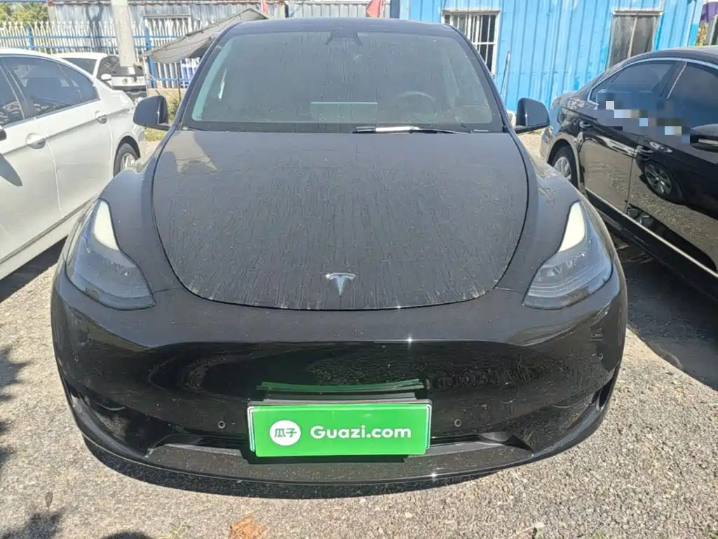 Tesla Model Y — миниатюра 3