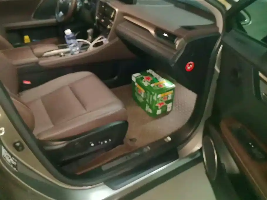 Lexus RX 2021 300