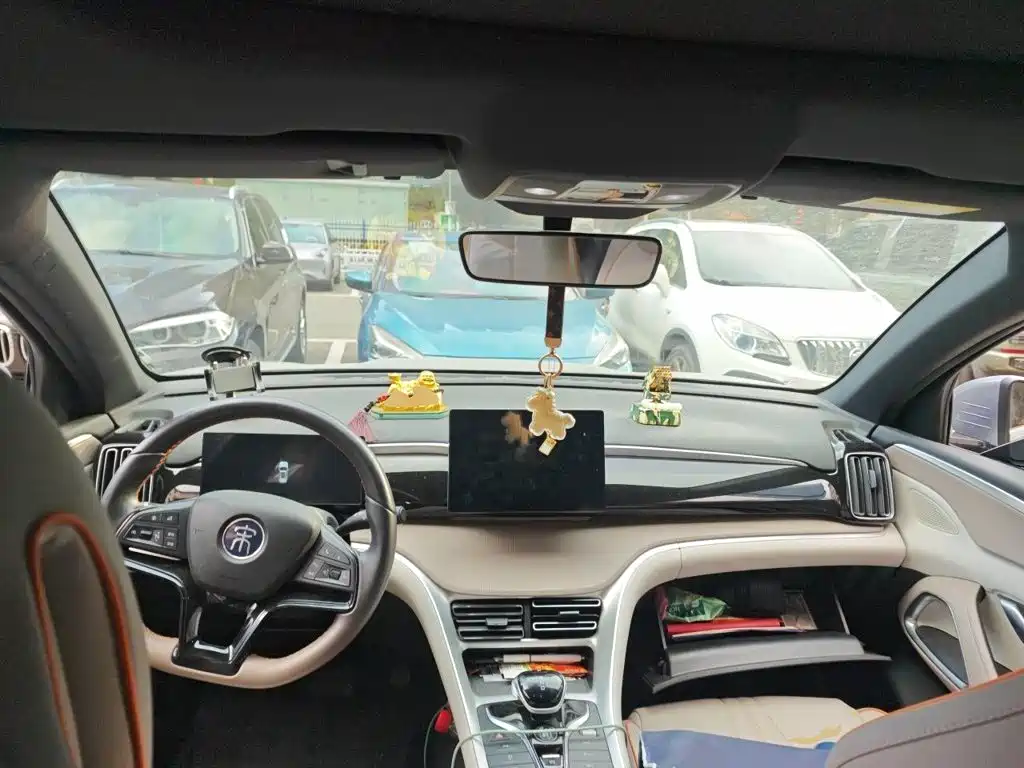 BYD Pro New Energy — миниатюра 5