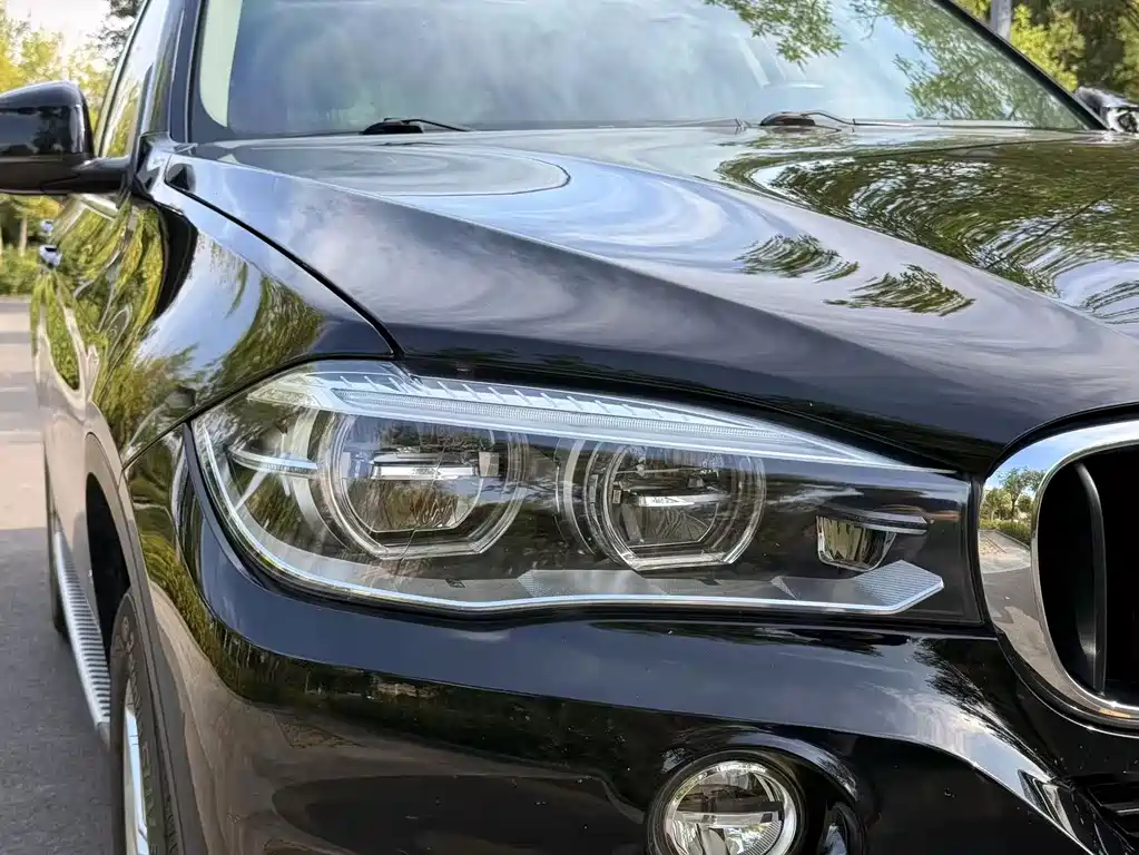 BMW X5 (Import) — миниатюра 5