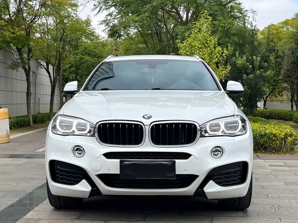 BMW X6 — миниатюра 2