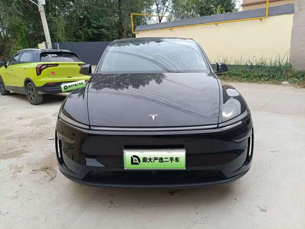 Tesla Model Y — миниатюра 2