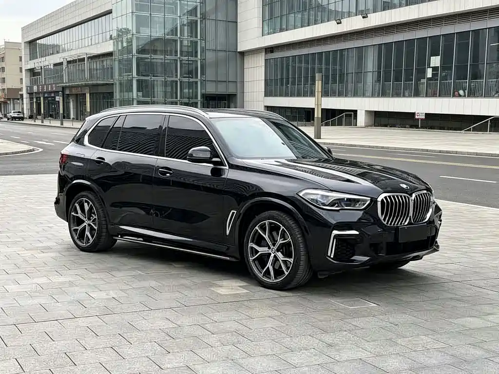 BMW X5 — миниатюра 2