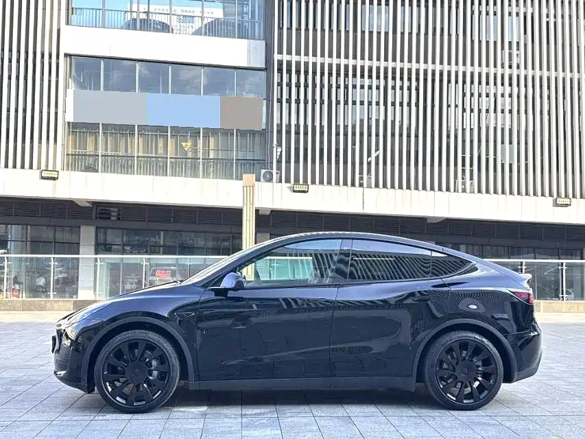 Tesla Model Y — миниатюра 7