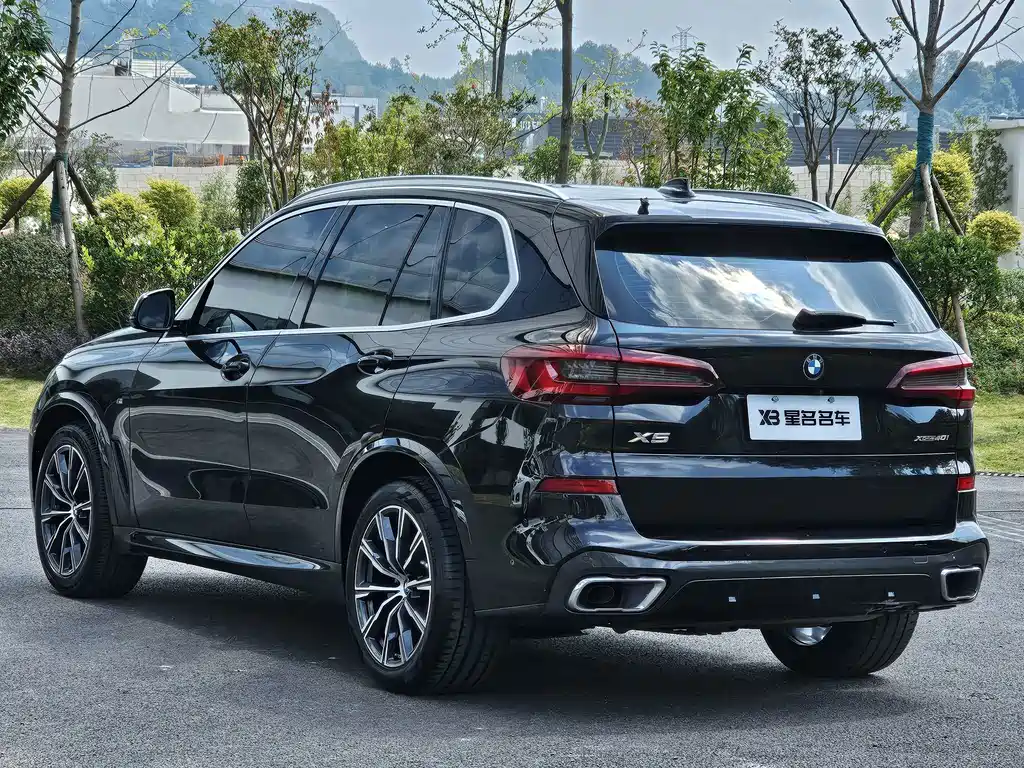 BMW X5 (Import) — миниатюра 10