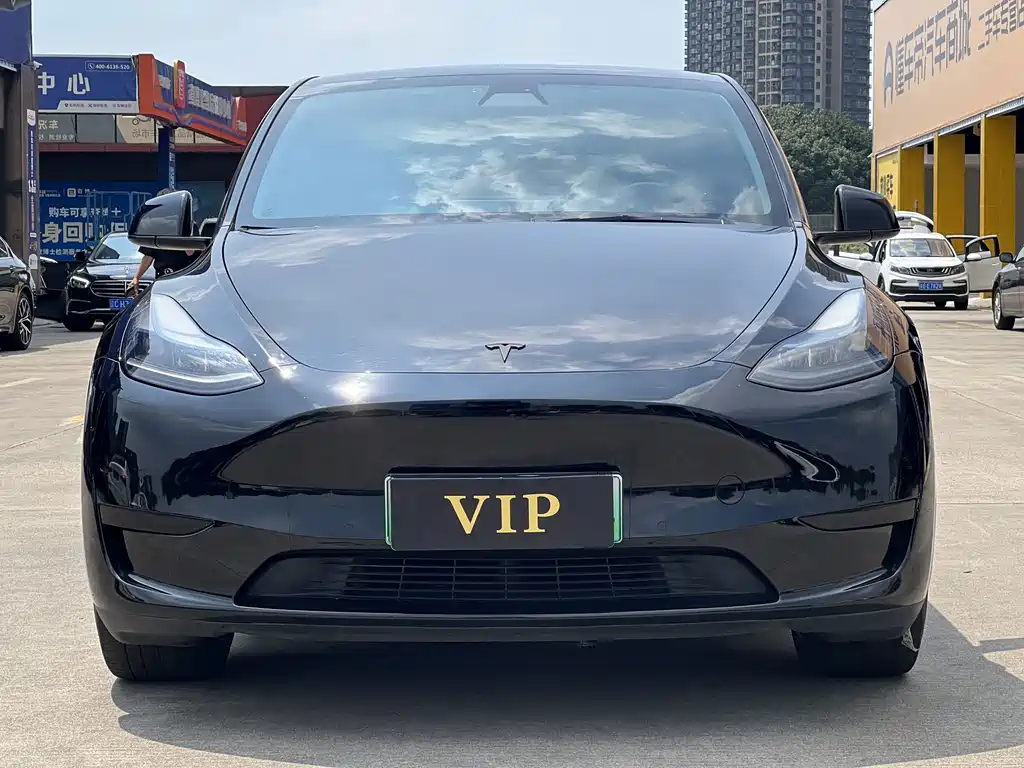 Tesla Model Y — миниатюра 2