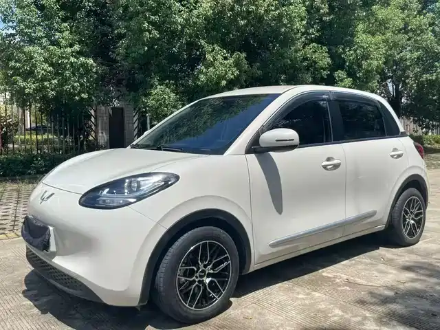 WULING AUTOMOBILE WULING BINGGUO 2023