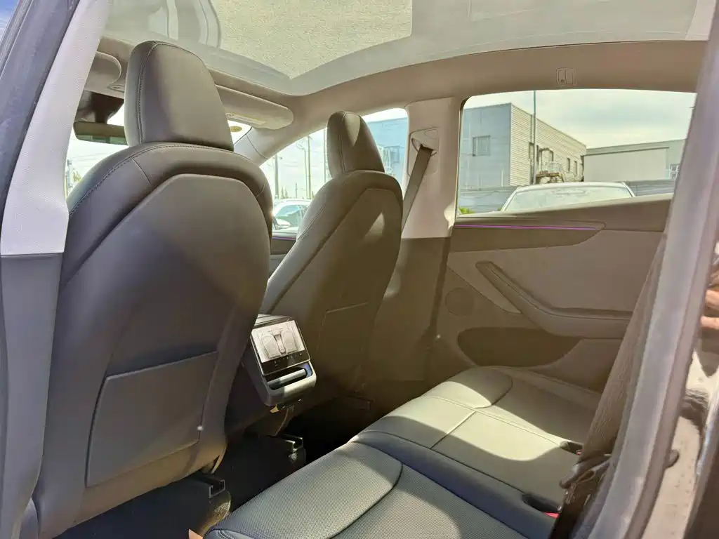 Tesla Model Y — миниатюра 10