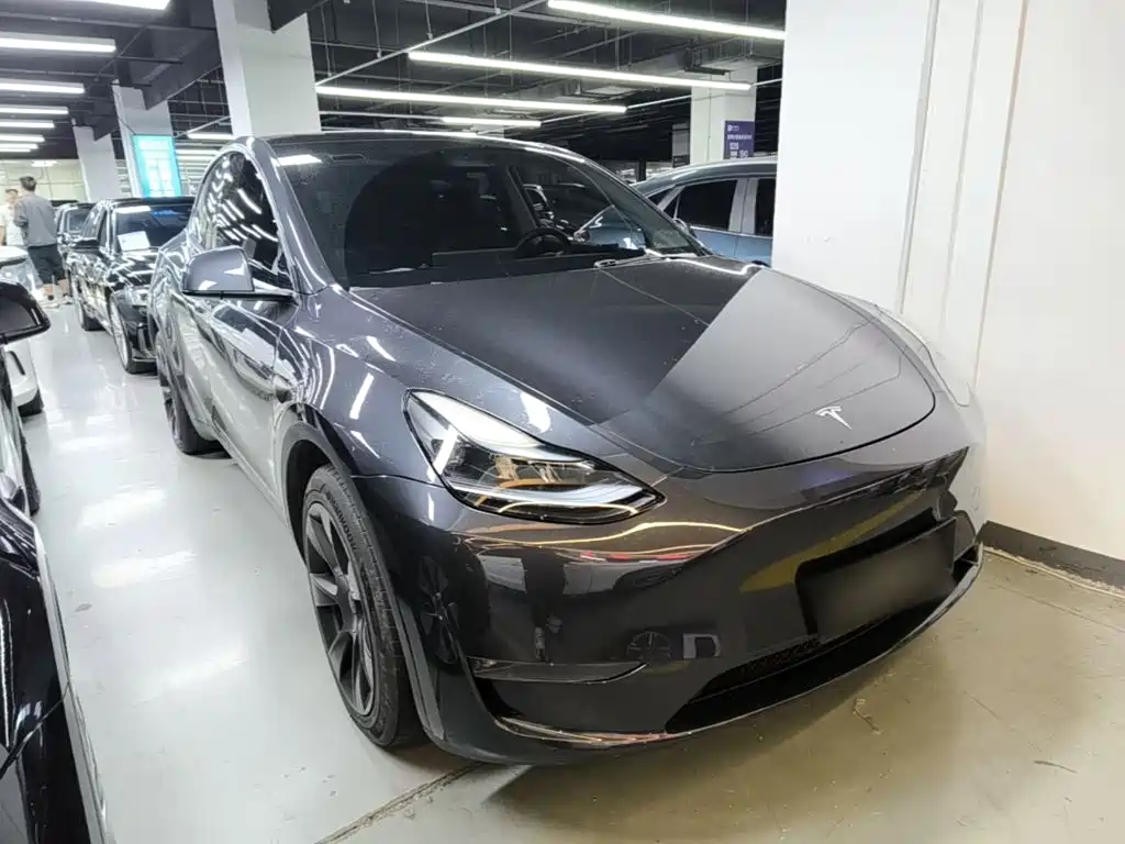 Tesla Model Y — миниатюра 4
