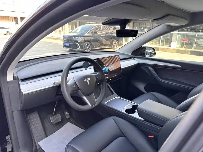 Tesla Model Y — миниатюра 3