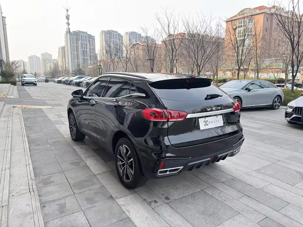 WEI PAI WEI BRAND VV5