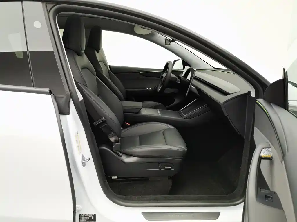 Tesla Model Y — миниатюра 23